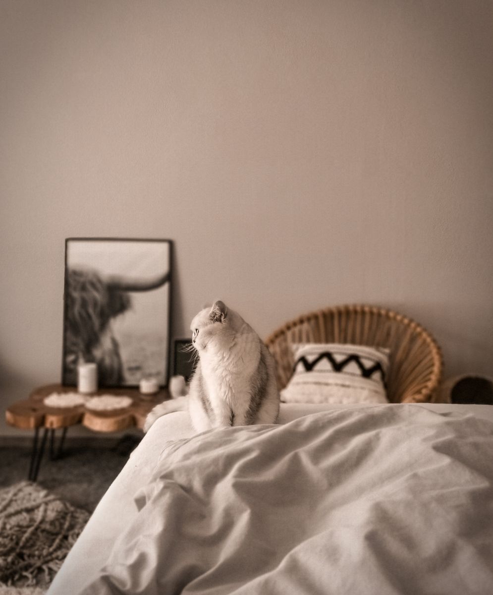 Fatigue automne